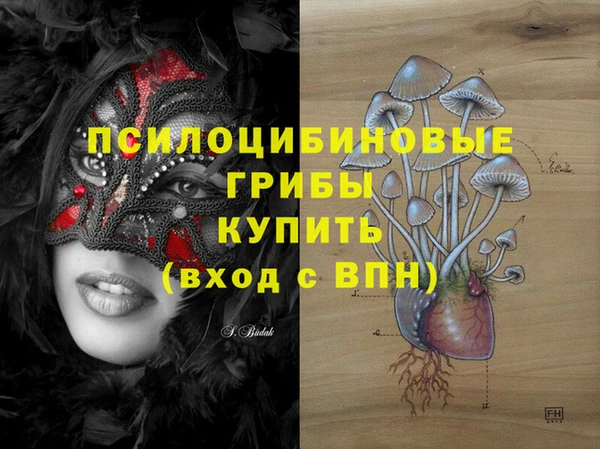 крисы Алексеевка